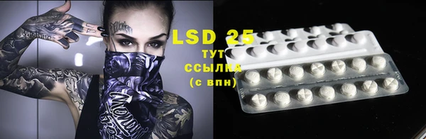 ГАЛЛЮЦИНОГЕННЫЕ ГРИБЫ Строитель