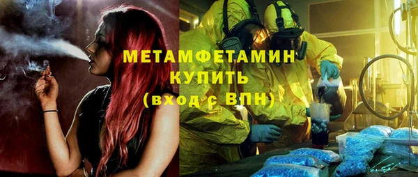 ГАЛЛЮЦИНОГЕННЫЕ ГРИБЫ Строитель