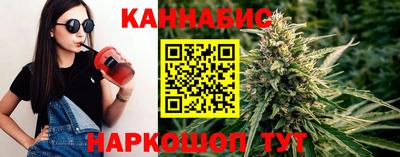 крисы Гай
