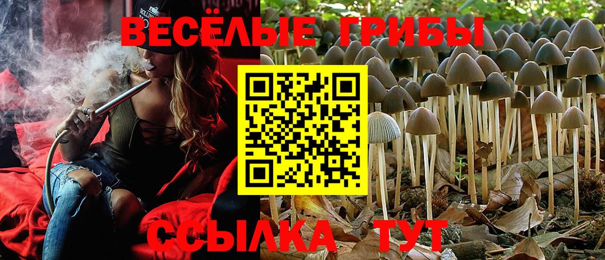 Псилоцибиновые грибы Psilocybine cubensis  Галлюциногенные грибы Psilocybine cubensis  Курган  Вход с VPN 