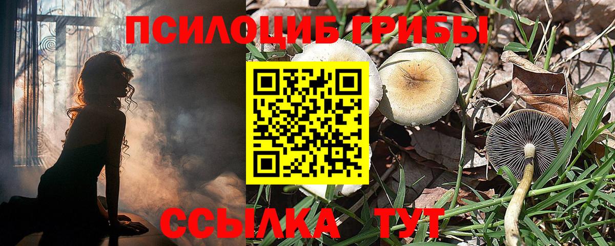 Галлюциногенные грибы мухоморы Курган